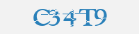 보안문자